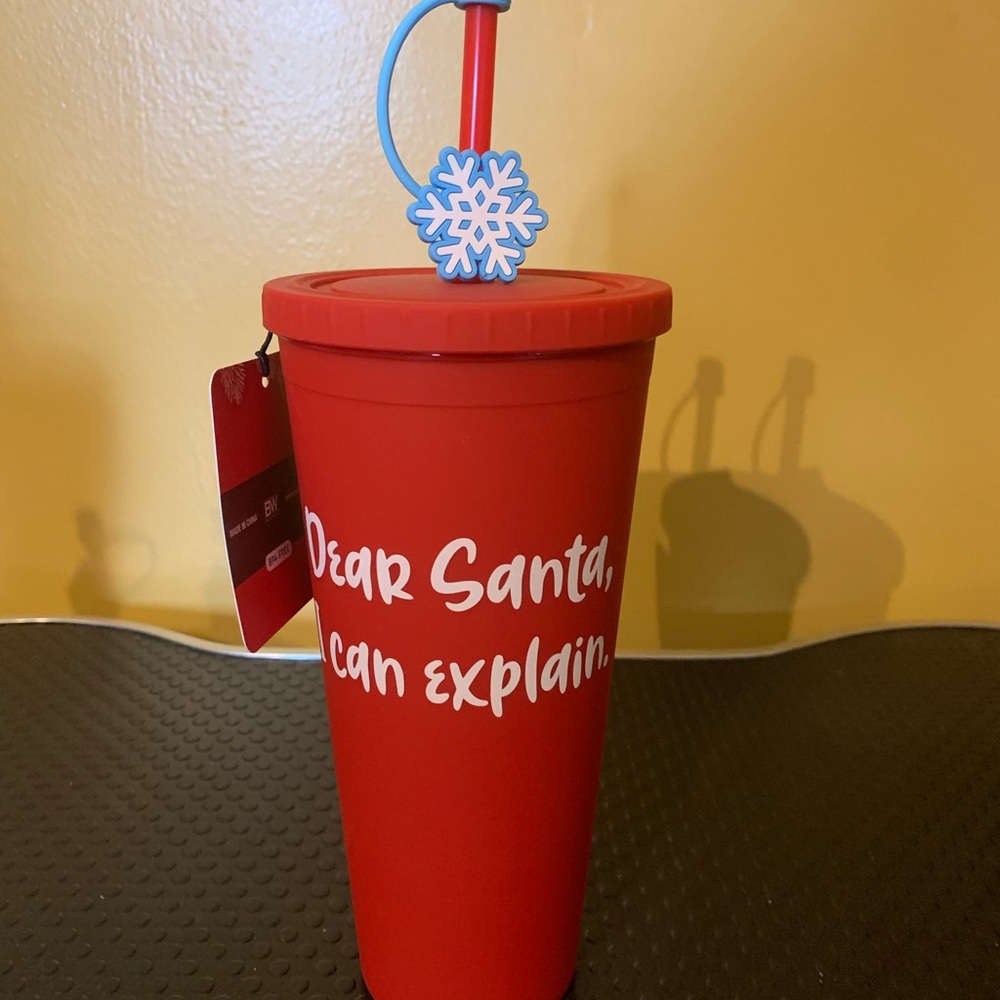 NWT Dear Santa I Can Explain 22oz BPA Free Tumbler with Straw Christmas Holidays